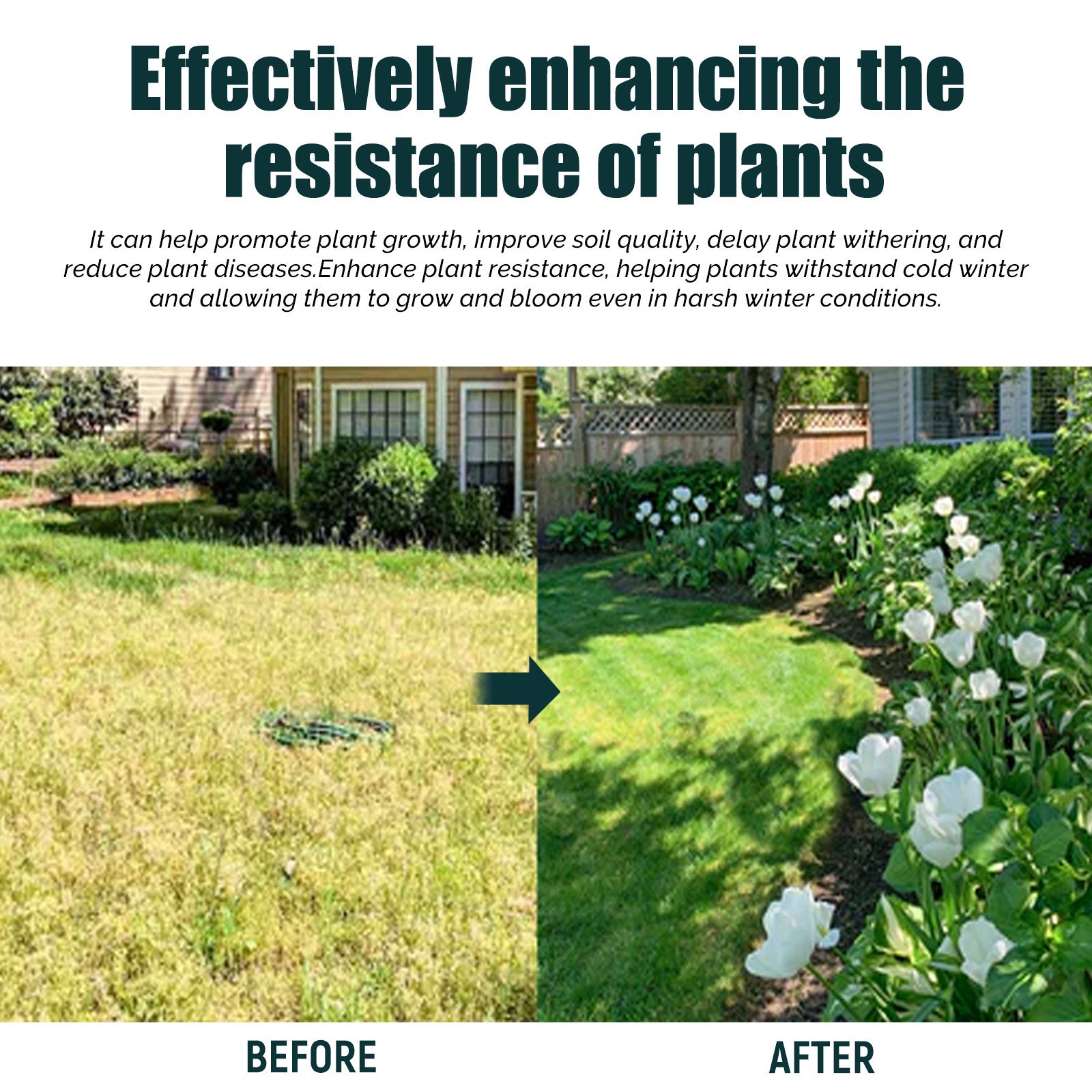 Plant growth nutritional supplements